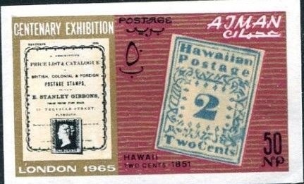 Sheik Rashid and Arabian Horse (Equus ferus caballus)