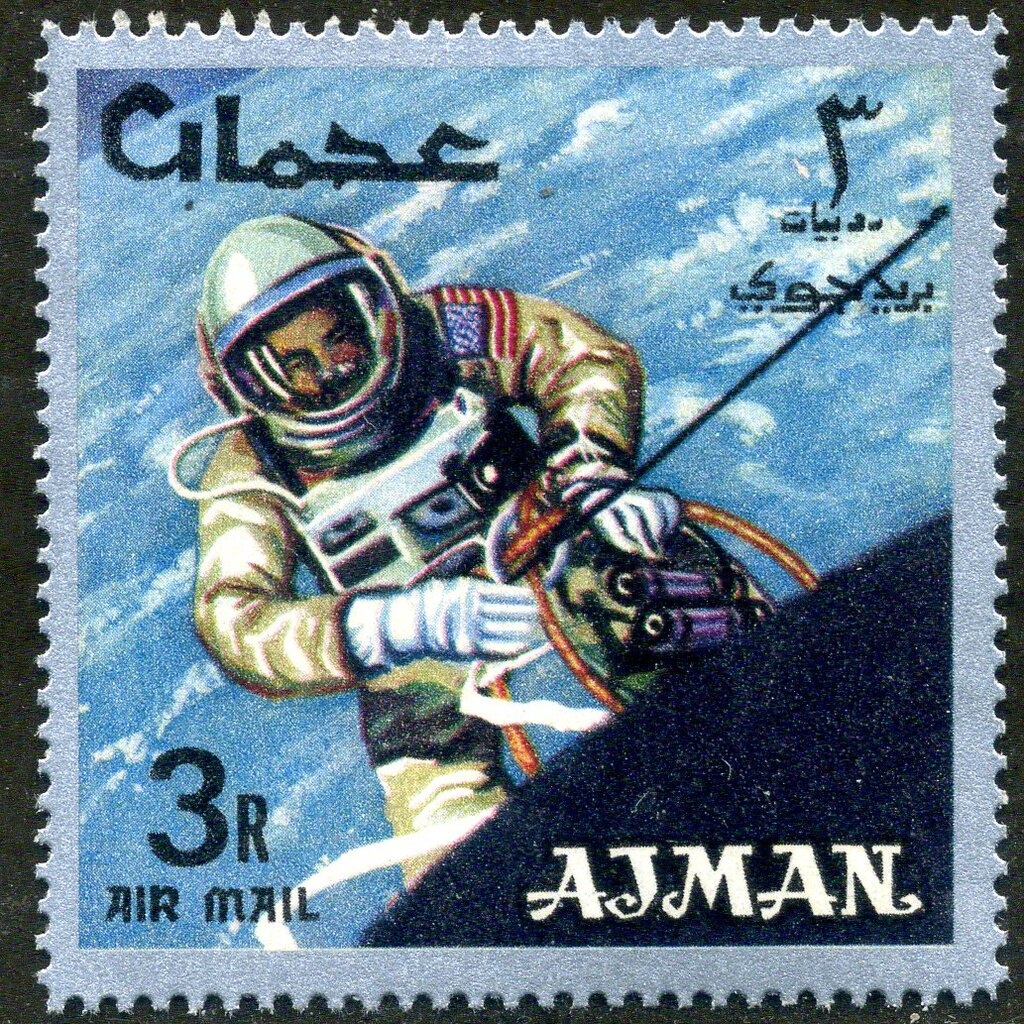 Yellow Persian (Felis silvestris catus)