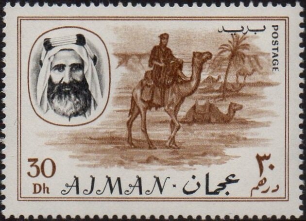 Agouti (Dasyprocta sp.)