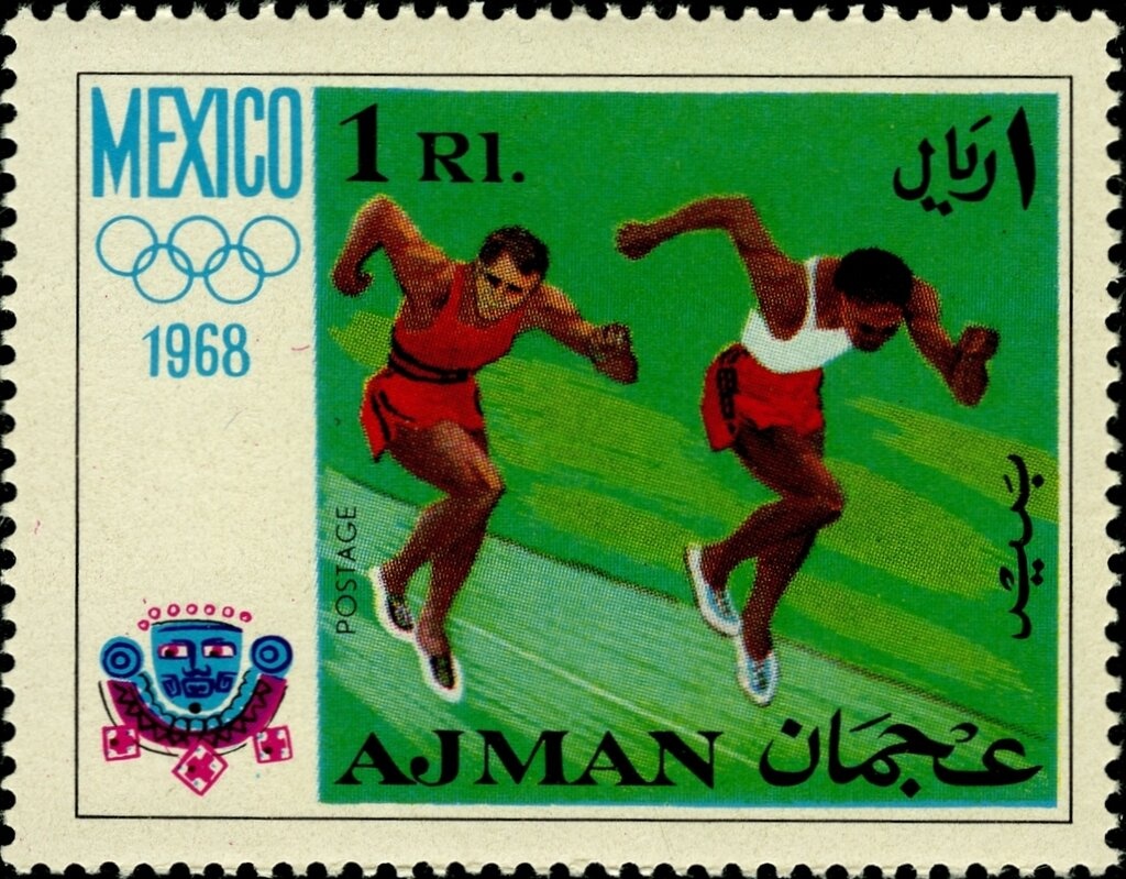 African Sacred Ibis (Threskiornis aethiopicus)