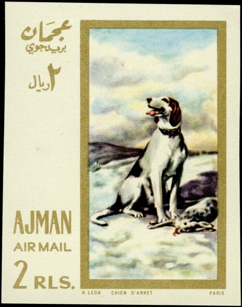 Eisenhower and Kennedy