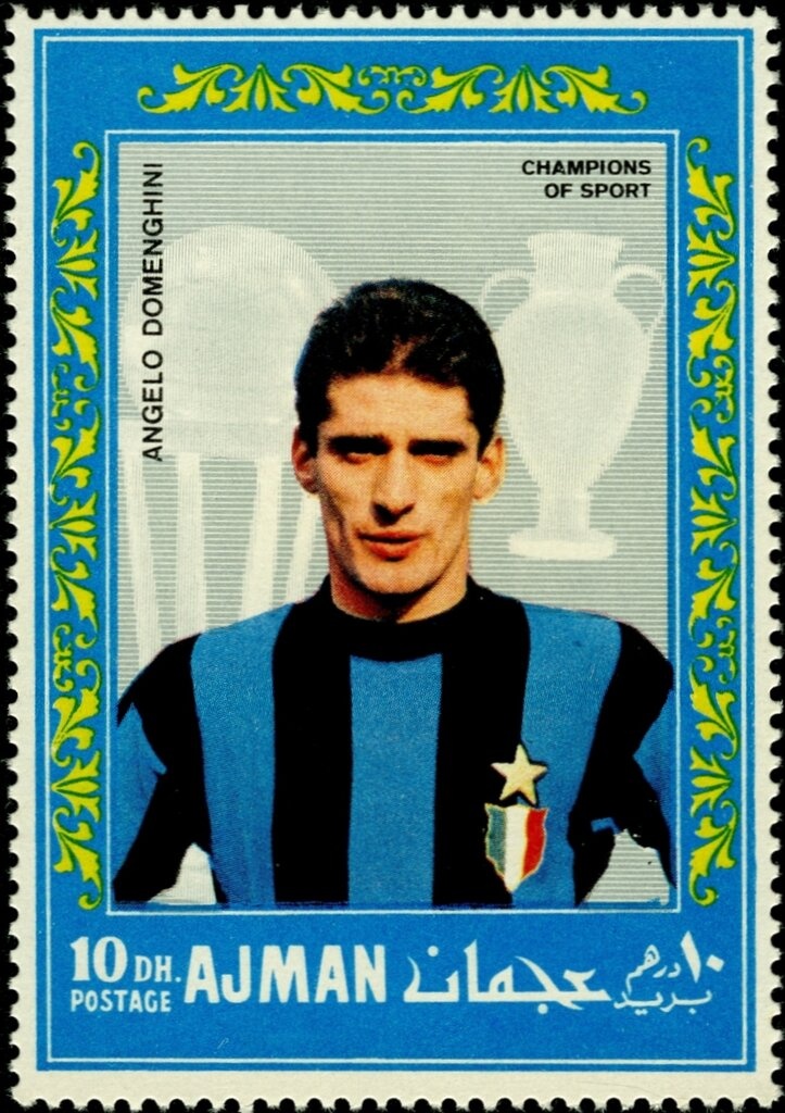 Diana Monkey (Cercopithecus diana)