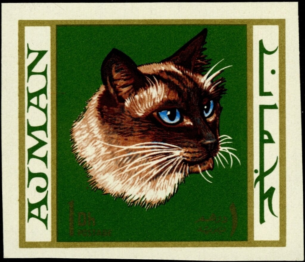 The dresser's mirror; Bonnard