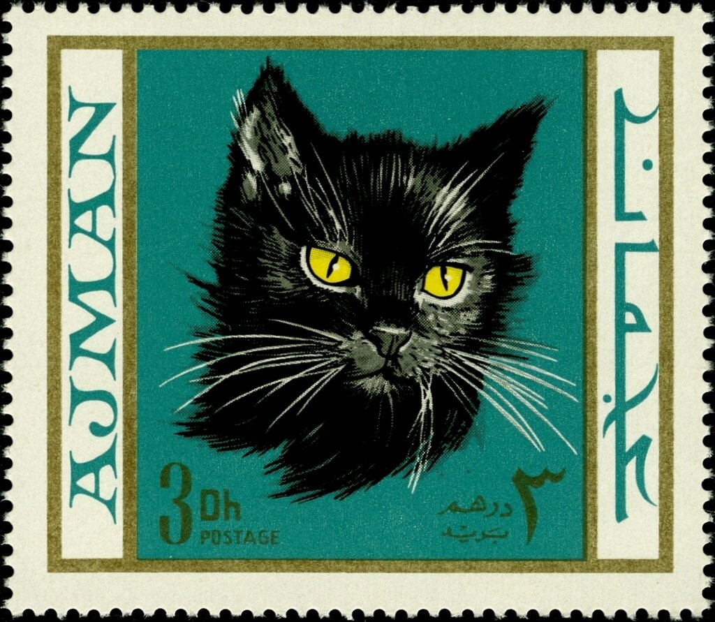 Hospital Scene; by unknown master