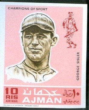 Black-and-red Broadbill (Cymbirhynchus macrorhynchos)