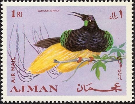 Climbing the Mountain