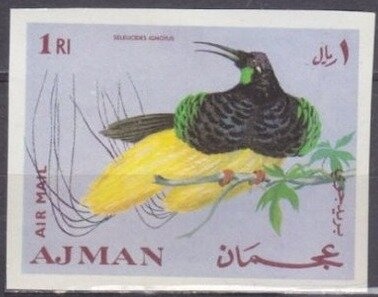 Dhisa of Takashimaya