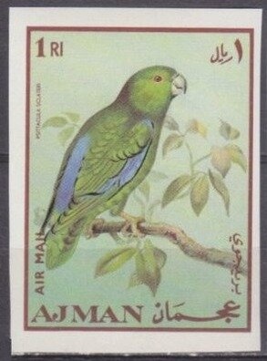 In Memoriam, Edward White.