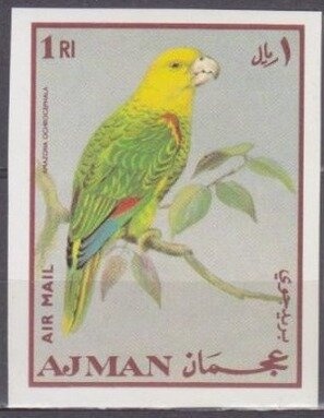 Grandala (Grandala coelicolor)