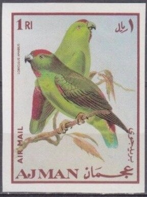 Map of the USA, Boy Scout Lily, Pigeons