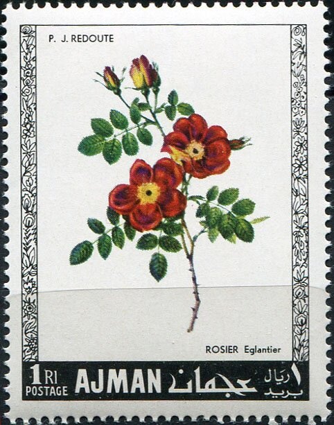 Hospital Scene; by Unknown Master