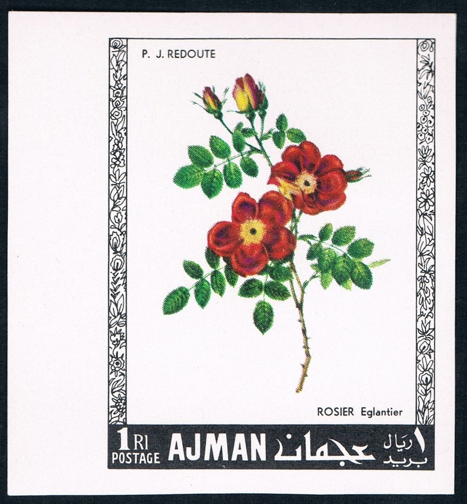 Dwight David Eisenhower (1890-1969)