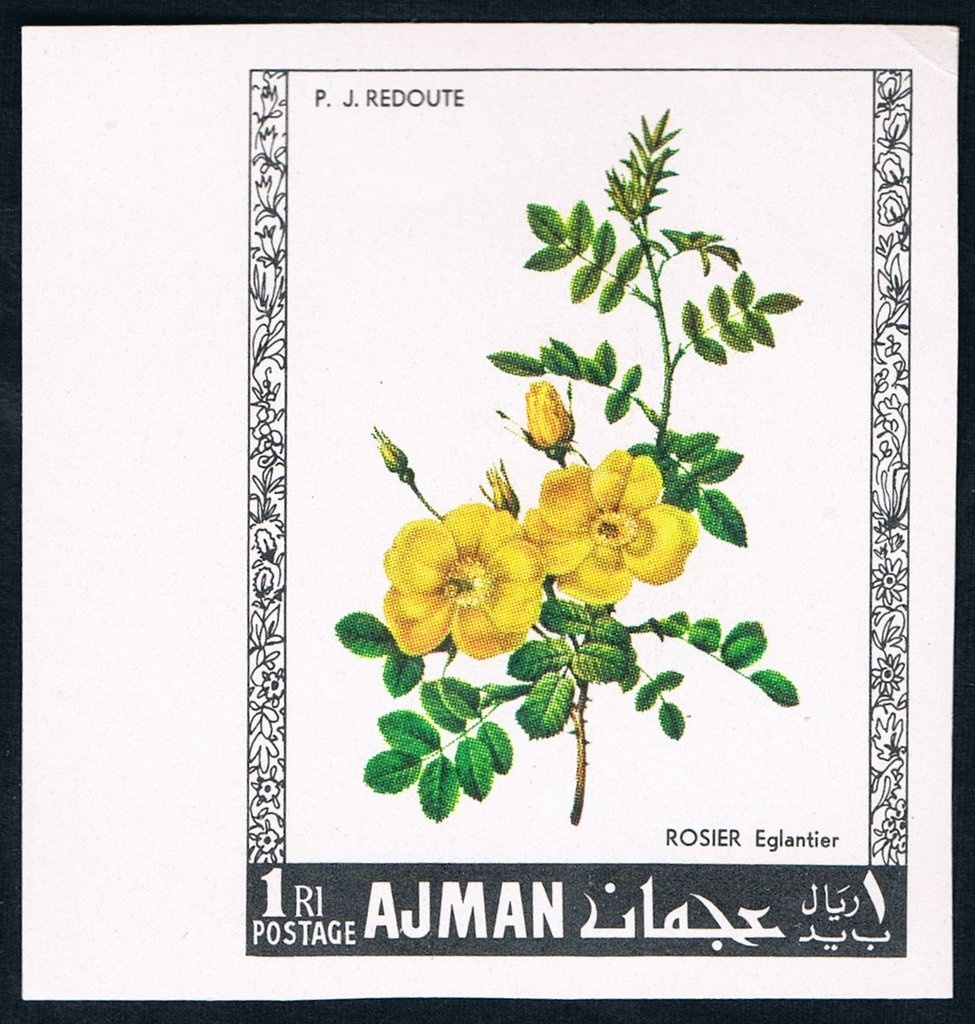 Swigert with Apollo 13 Emblem