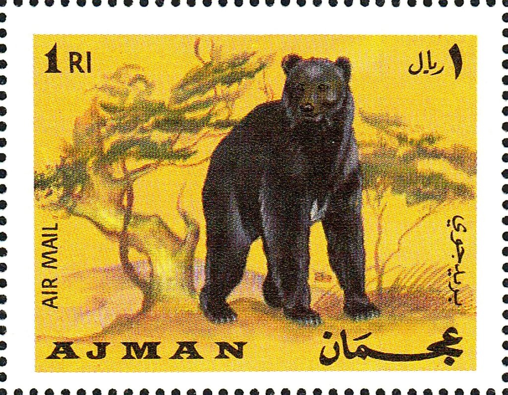 Schweitzer with Queen Elisabeth of Belgium