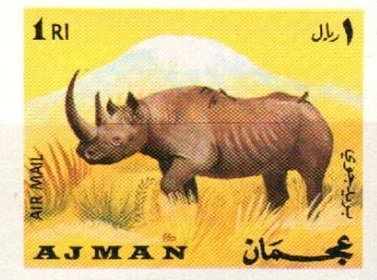 Schweitzer Giving an Organ Concert