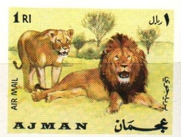 Guianan Squirrel Monkey (Saimiri sciureus)