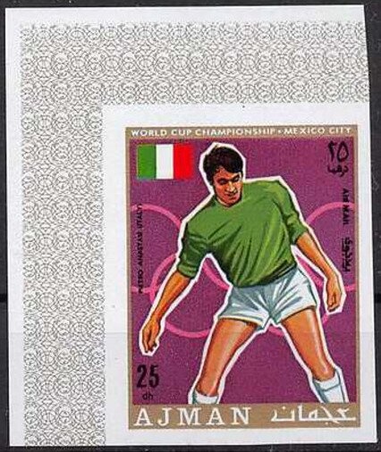 Little Egret (Egretta garzetta)