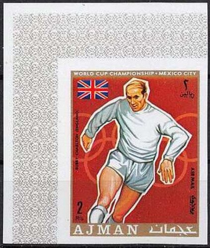 Dusky-billed Parrotlet (Psittacula sclateri)