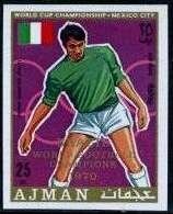 Head of Christ on the Abrasive cloth the Veronica