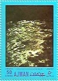 Muskox (Ovibos moschatus)