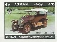 Plains Zebra (Equus quagga)