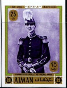 Edible Dormouse (Glis glis)