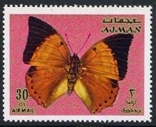 Beautiful Nuthatch (Sitta formosa)