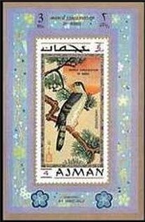 Sheik Rashid and Arabian Horse (Equus ferus caballus)