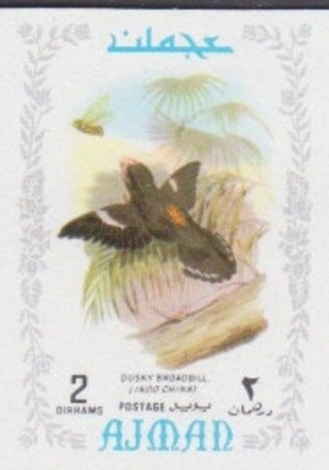 Head of Adam, by Michelangelo