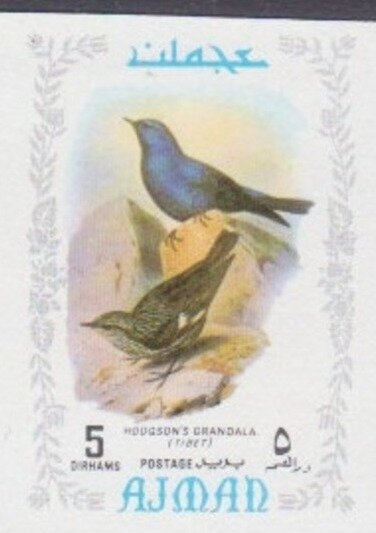 Apollo 11 - The Moon Shoes