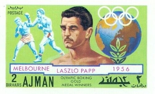 White Stork (Ciconia ciconia)