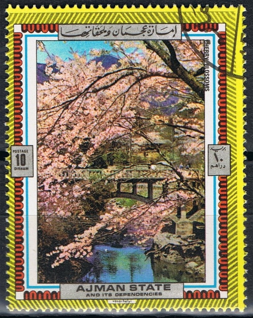 Volontaire de la Mort - Italy 1915-1918