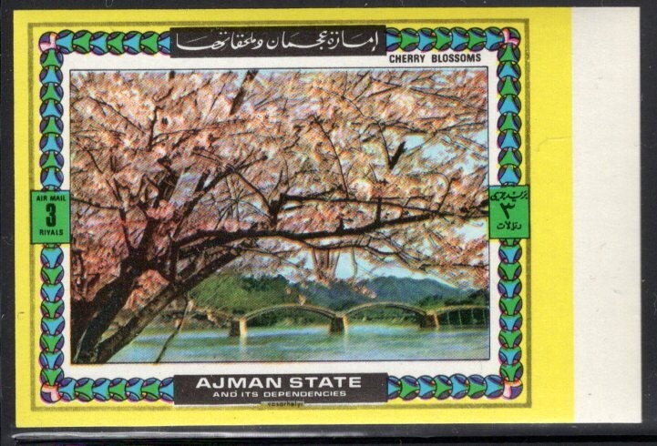 Pampas Cat (Leopardus pajeros)