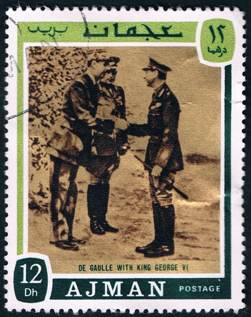 Clouded Yellow (Colias edusa)