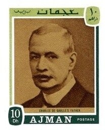 Japanese Sparrowhawk (Accipiter gularis)