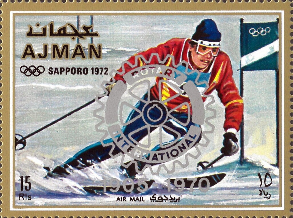 White Stork (Ciconia ciconia)