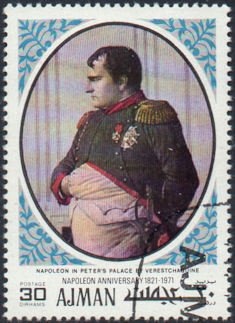 Moth (Cricula andrei)