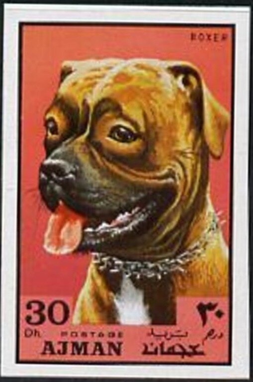 Dark Crimson Underwing (Astiotes sponsa)