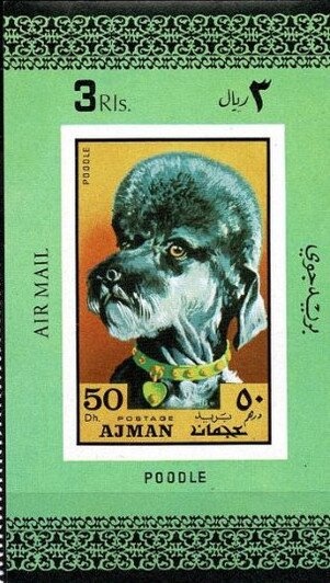 Astronauts on the Moon