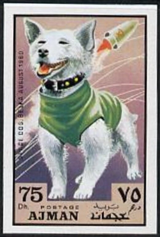 Gerhard Stöck (Germany) Javelin, Berlin 1936