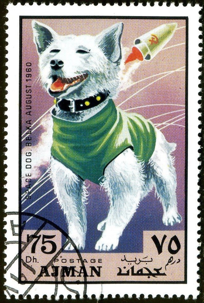 Paradise, Jan Brueghel the Younger (c. 1650)