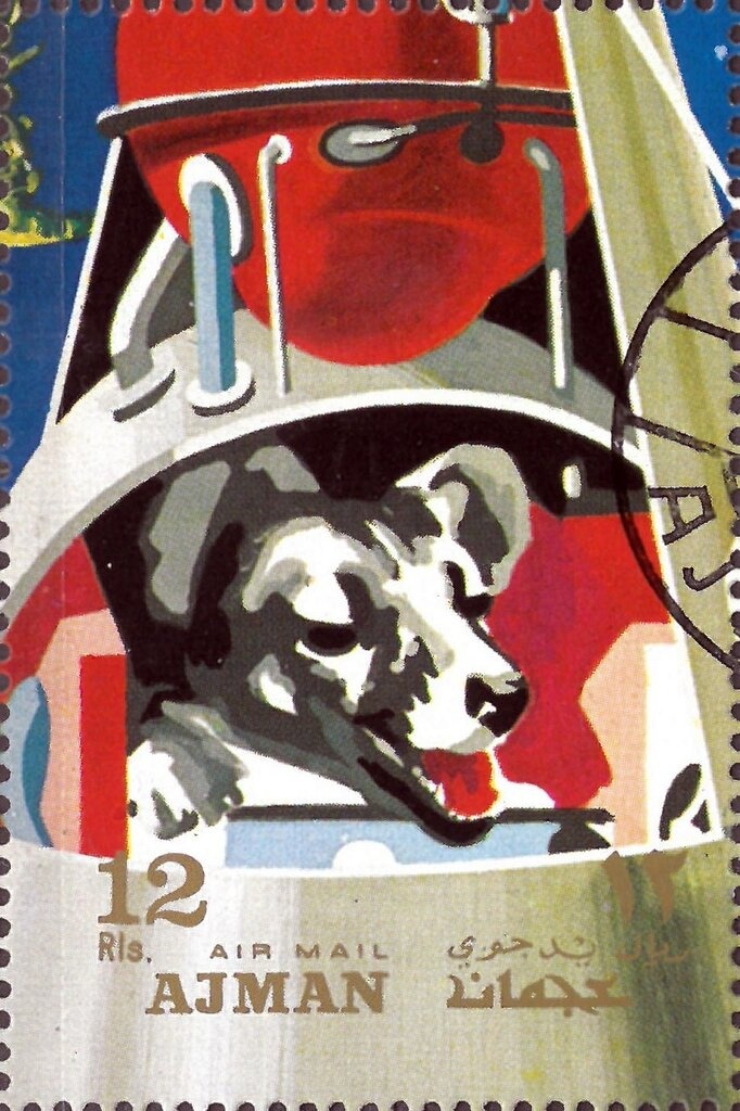 Old World Swallowtail (Papilio machaon)