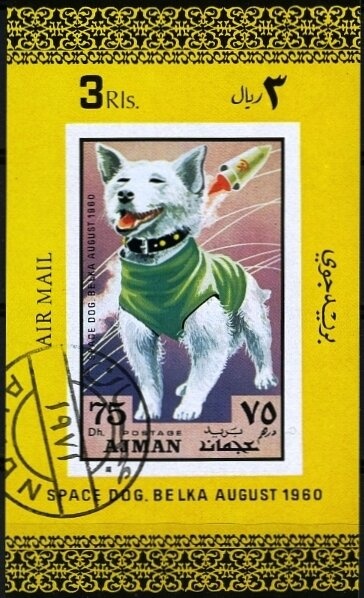 Altar Paumgartner; Albert Durer