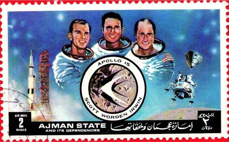 Moth (Cricula andrei)