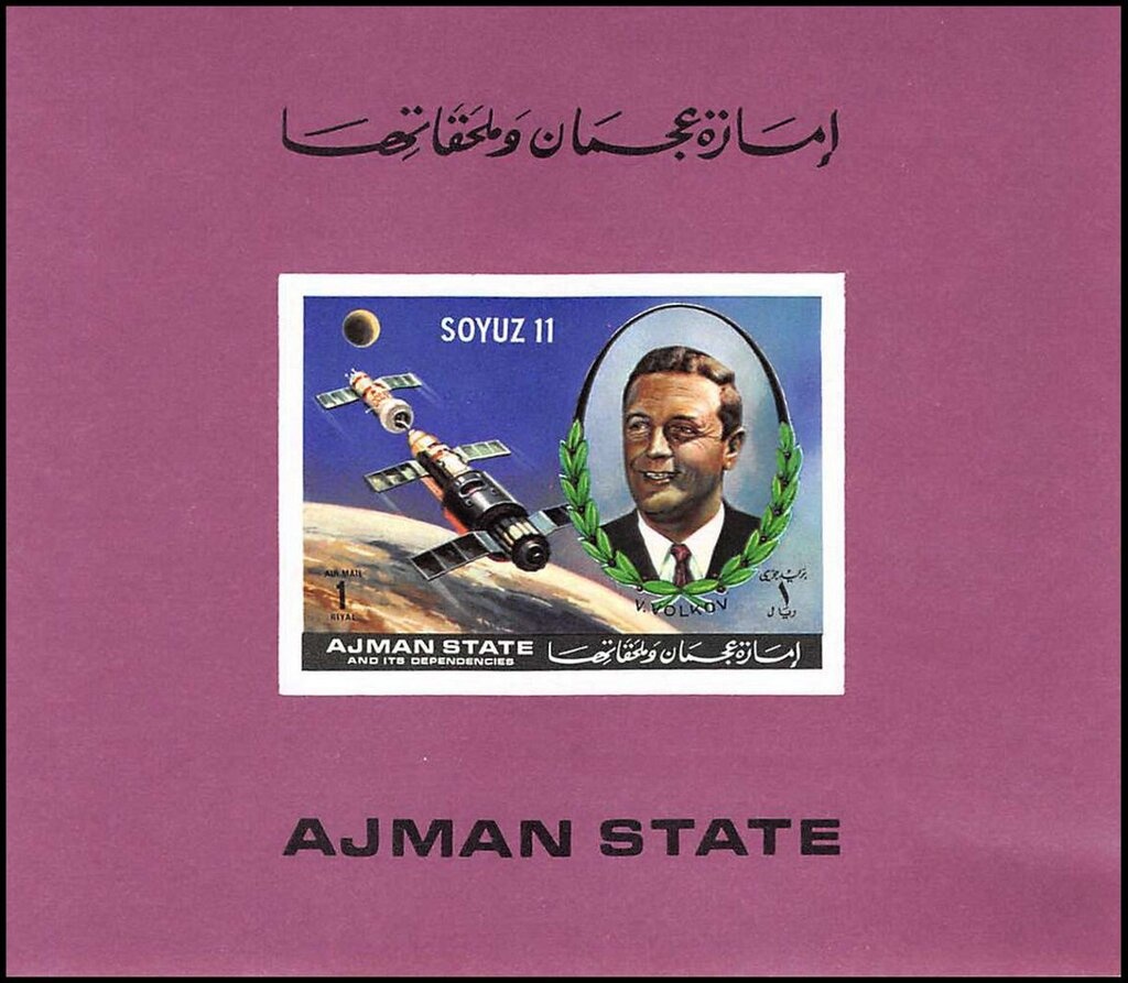 Moth (Nyctalemon achillaria)