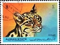 Wernher Magnus Maximilian Freiherr von Braun (1912-1977)