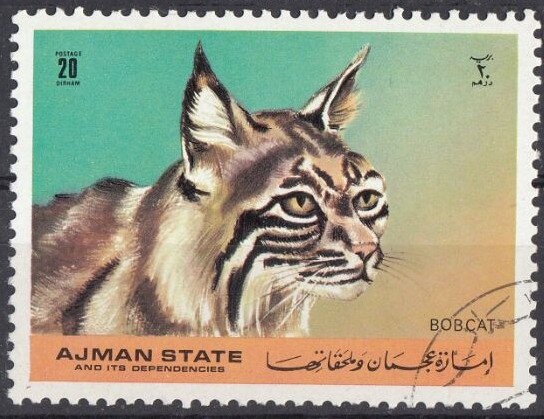 Paul Hildgartner (*1952), Walter Plaikner (*1951), Italy