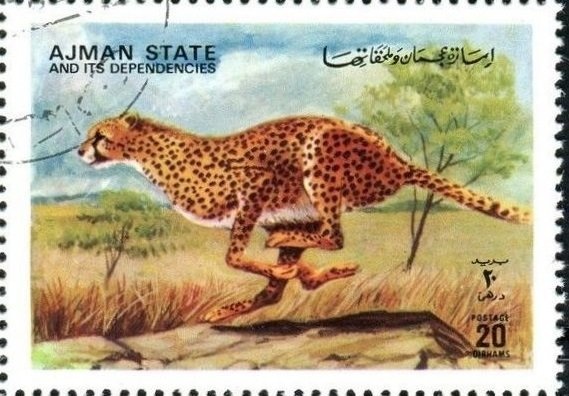 Napoleon meets Francis II after Austerlitz, Pierre Prudhon