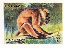 Martin Jellinghaus (*1944), running