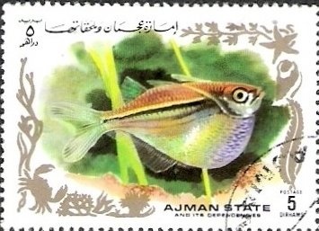 Apollo 11 moon landing